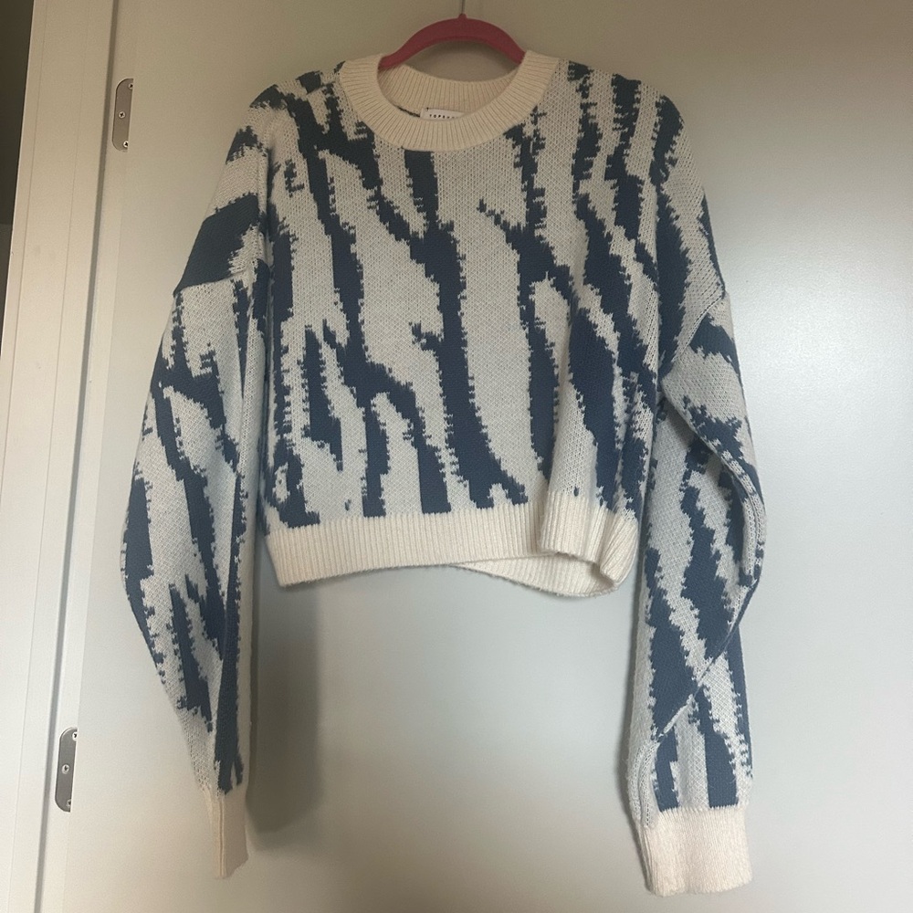 Topshop Sweater